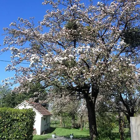 Chalet La Boulangerie Romagny