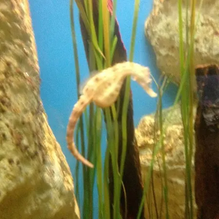 Chalet La Boulangerie *