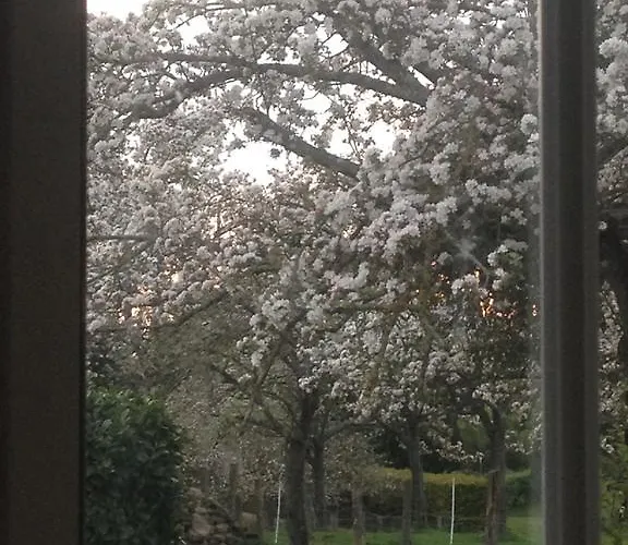 La Boulangerie * Romagny
