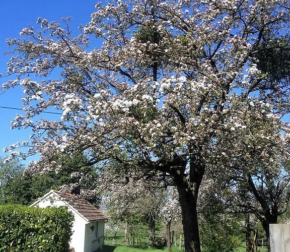 Chalé La Boulangerie Romagny