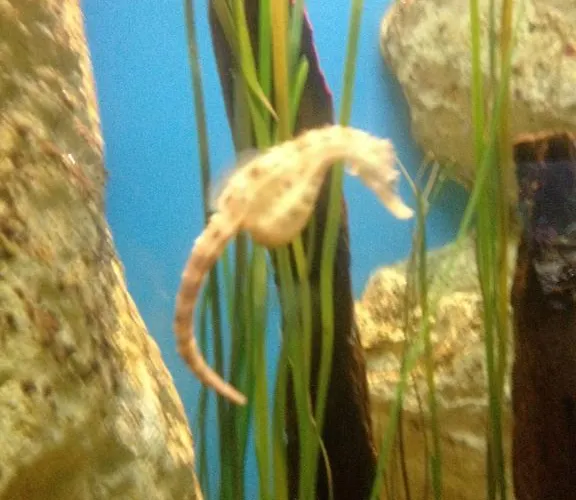 Alpehytte La Boulangerie *