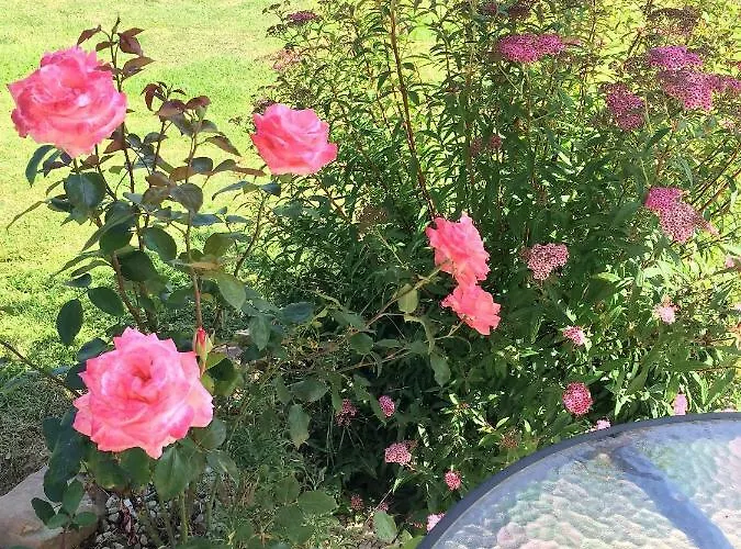 La Boulangerie Chalé